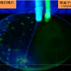 从Menicon Tinu的等离子技术，看硬镜等离子处理对配戴有何影响？